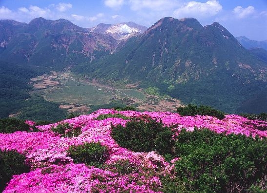 강산여행사 이미지