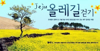강산여행사 이미지